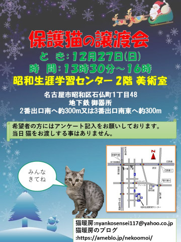 保護猫の譲渡会