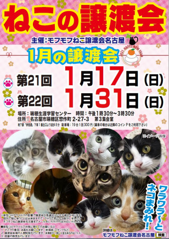 猫の譲渡会　in　名古屋市瑞穂区生涯学習センター