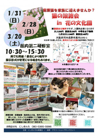 保護猫の譲渡会