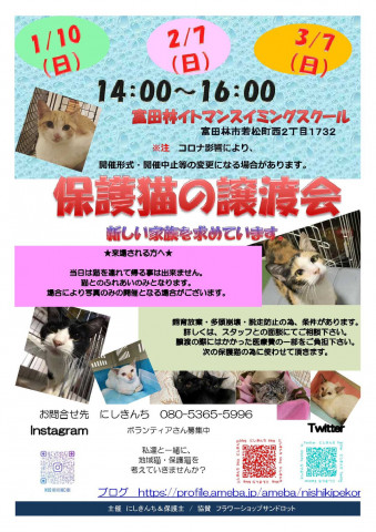 保護猫の譲渡会