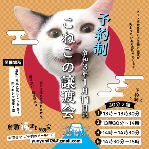 ほごっこ子猫の譲渡会（予約制）