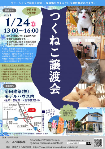 つくねこ譲渡会