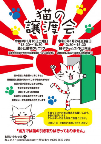 猫の譲渡会