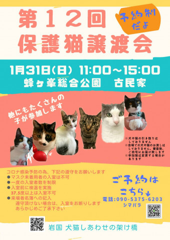 第１２回保護猫譲渡会in山口県