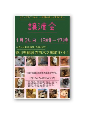 犬猫の譲渡会