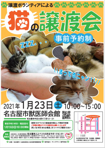 名古屋市動物愛護センターの譲渡ボランティアによる猫の譲渡会
