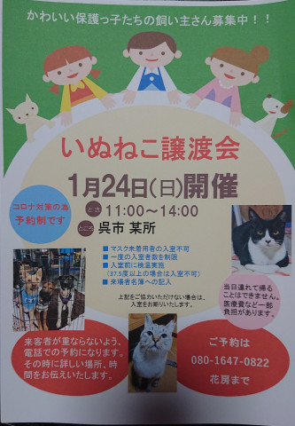 犬猫譲渡会