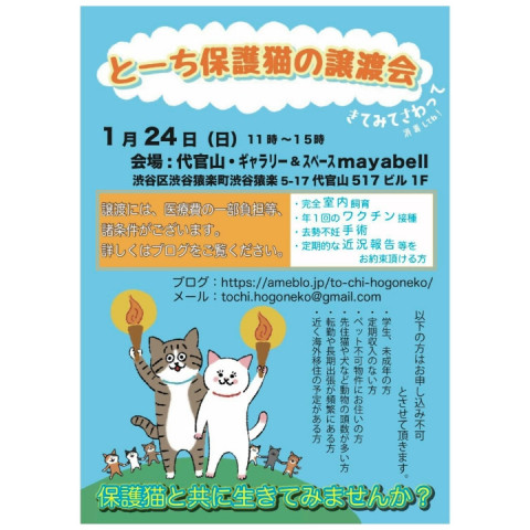 とーち保護猫の譲渡会