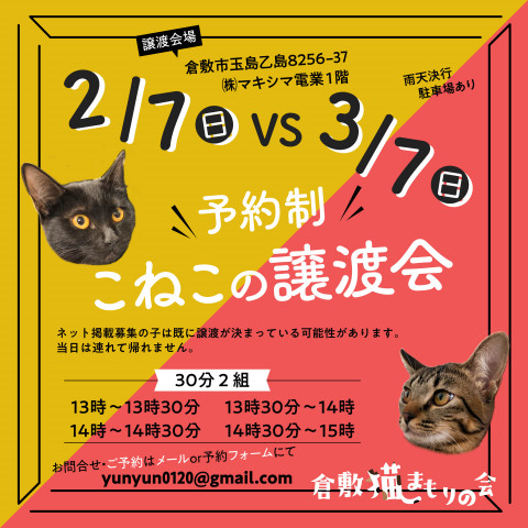 ほごっこ子猫の譲渡会（予約制）