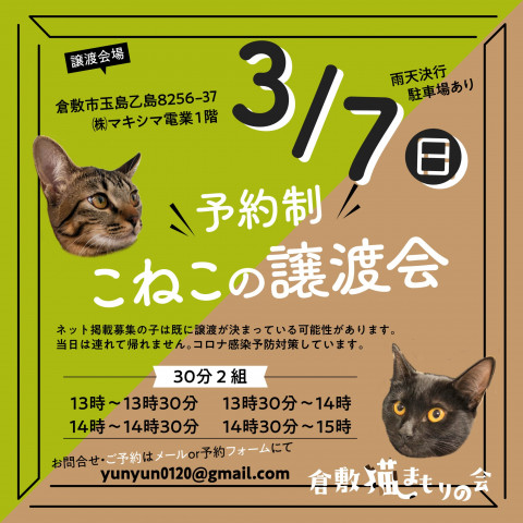 ほごっこ子猫の譲渡会（予約制）