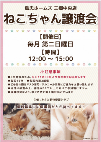 三郷市(⑉•ェ•⑉)保護猫 譲渡会