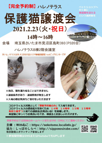 【完全予約制】2/23（祝）ハレノテラス保護猫譲渡会