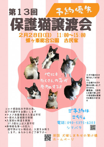 保護猫譲渡会in山口県