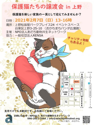 保護猫たちの譲渡会ｉｎ上野