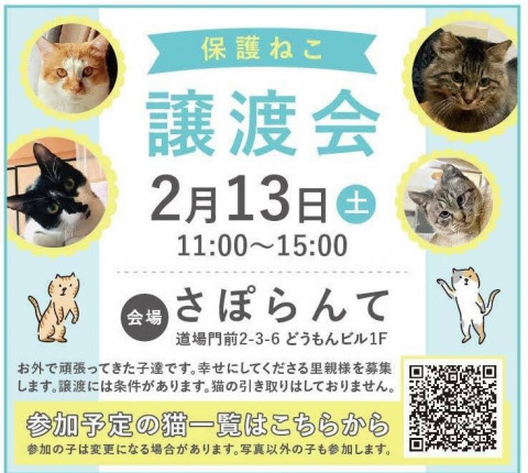 保護ねこ譲渡会inさぽらんて