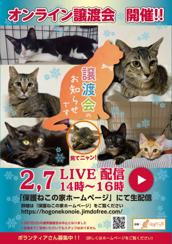 保護ねこの家 オンライン譲渡会