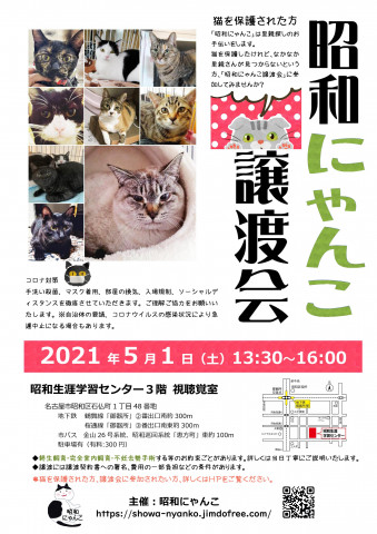 昭和にゃんこ譲渡会　in　名古屋市昭和区