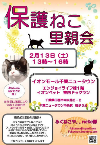 千葉県印西市開催/  ふくねこや。。