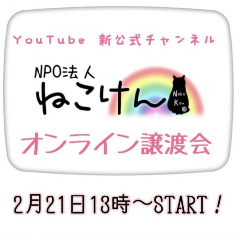 #2ねこけん★YouTubeLIVE譲渡会！