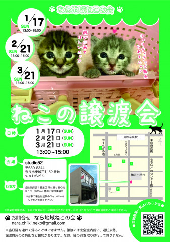 猫の譲渡会