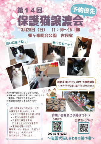 第１４回保護猫譲渡会in山口県