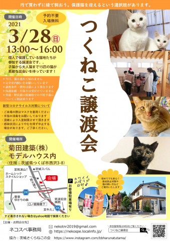 つくねこ譲渡会