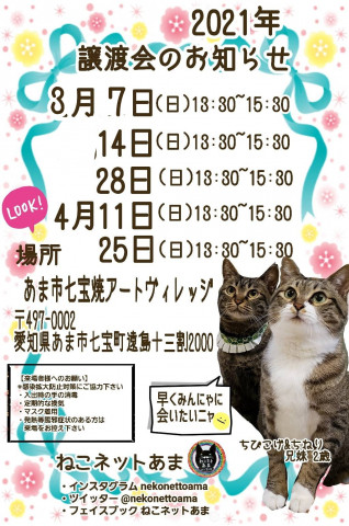 ねこネットあま譲渡会