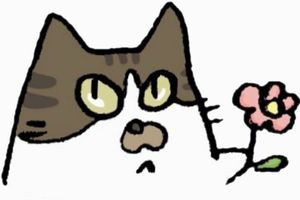 ねこの手の会【猫の譲渡会開催】3月14日（日）13時30分〜15時30分【予約制】参加猫