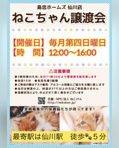 [島忠仙川店]ねこけん譲渡会