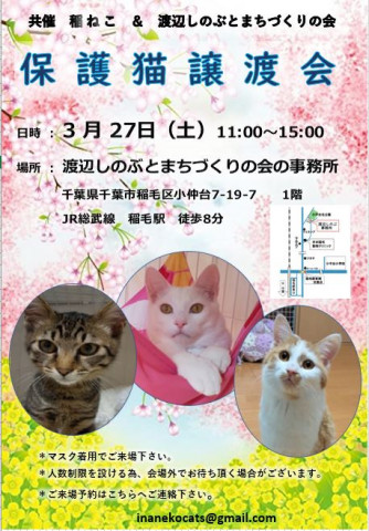 稲ねこ　保護猫譲渡会