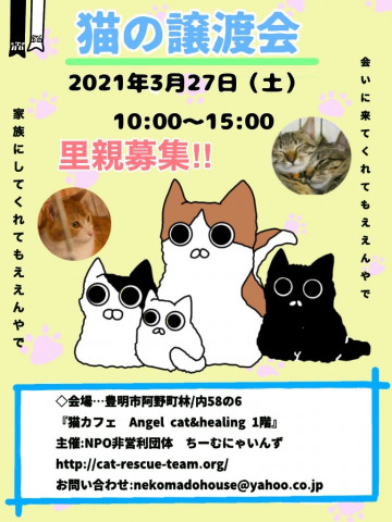 猫の譲渡会 IN 豊明 ～ ちーむ にゃいんず 2021年3月27日開催