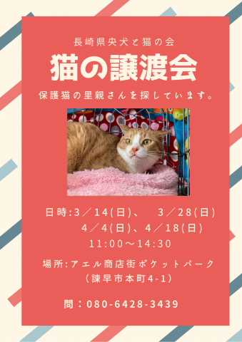 長崎県央犬と猫の会 猫の譲渡会掲示板 ネコジルシ 長崎県央犬と猫の会 猫の譲渡会掲示板 ネコジルシ