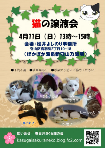 春日井さくら猫の会in守山