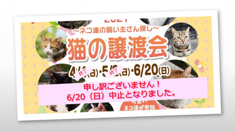 【6/20中止となりました】かすやねこ譲渡会 in 福岡