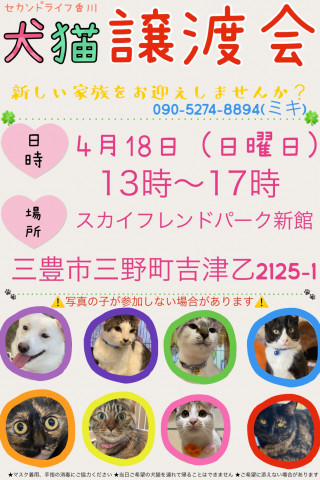 犬猫の譲渡会