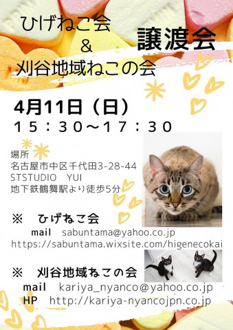 ひげねこ&刈谷地域ねこの会☆譲渡会