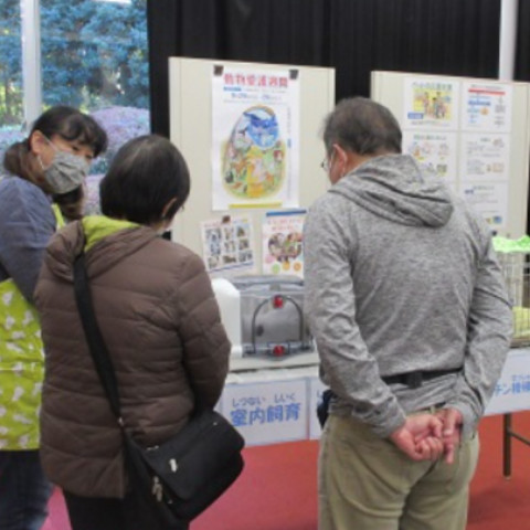 静岡県動物管理指導センター猫の譲渡会