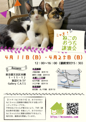 ミャオ！ねこのおうち譲渡会in水道橋