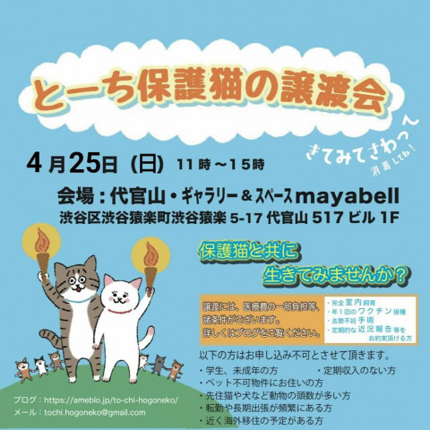 【中止になりました】とーち保護猫の譲渡会