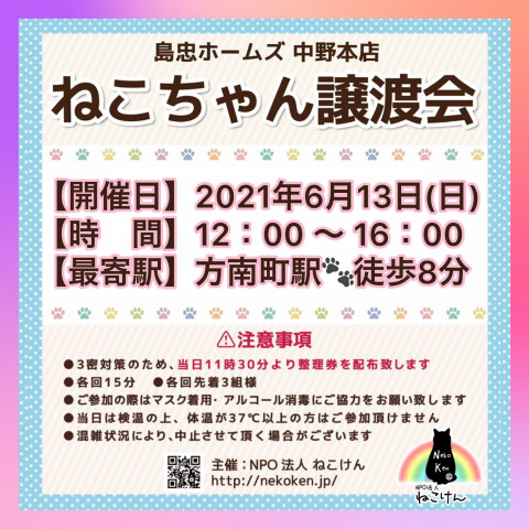 [島忠中野本店]ねこけん譲渡会