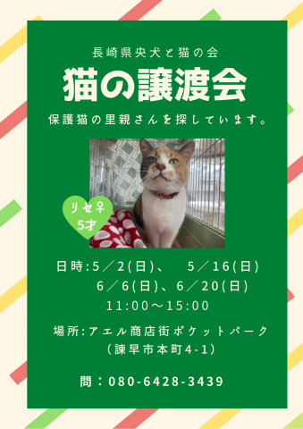 長崎県央犬と猫の会譲渡会