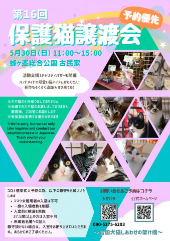 第１６回保護猫譲渡会in山口県