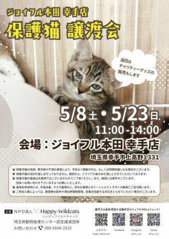 ジョイフル本田幸手店 保護猫譲渡会