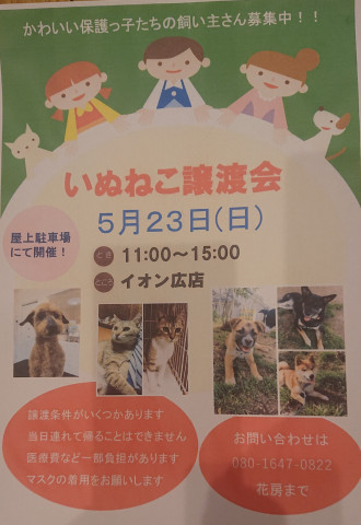 保護犬猫譲渡会 中止になりました