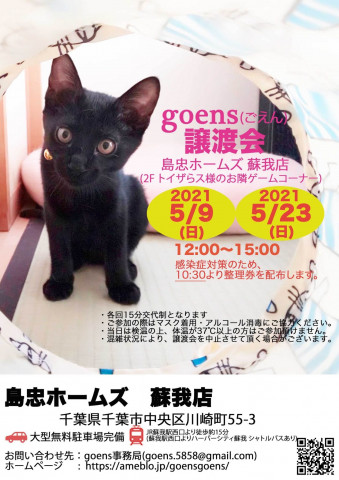 goens（ごえん）譲渡会