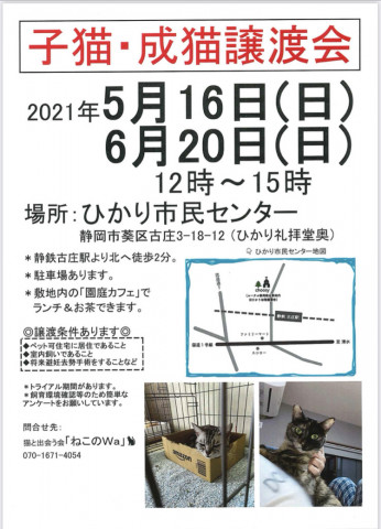 ねこのWa猫譲渡会　静岡市葵区