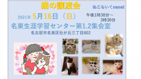 ねこらいく譲渡会