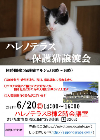 6/27(日）ハレノテラス保護猫譲渡会&マルシェ&Pet Festa