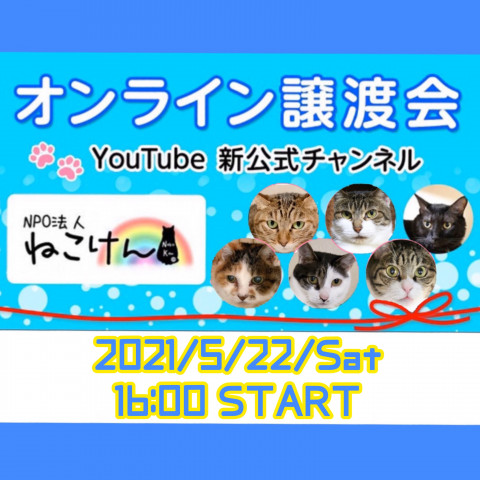 #5ねこけん★YouTube LIVE譲渡会！