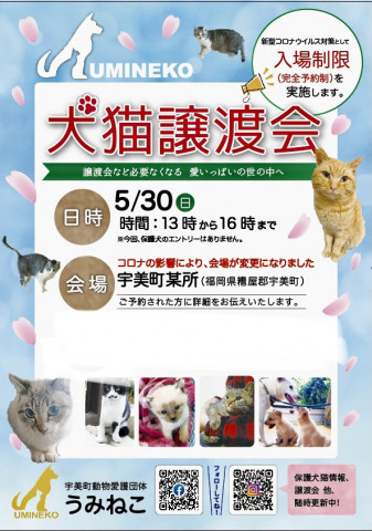 うみねこの「犬猫譲渡会」